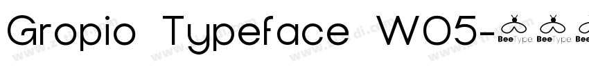Gropio Typeface W05字体转换